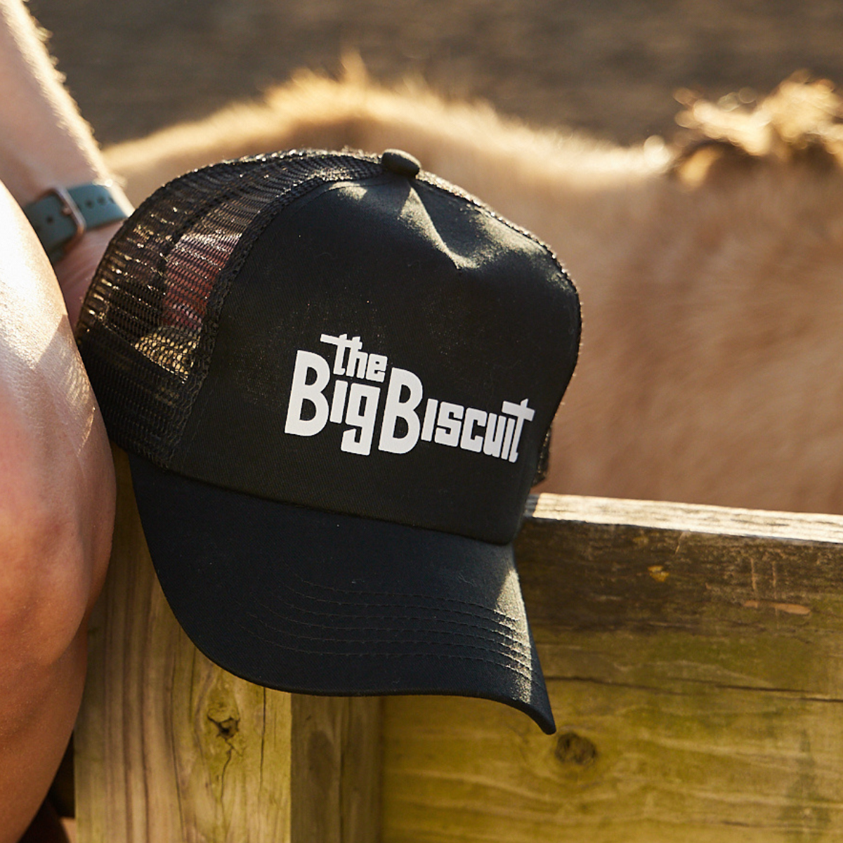 Grandstand Merch Images